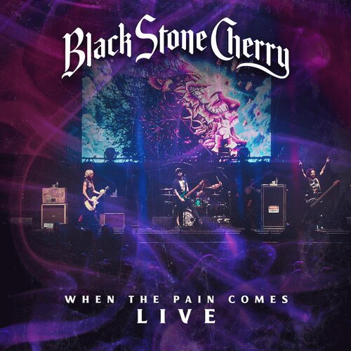 Black Stone Cherry : When the Pain Comes (Live)